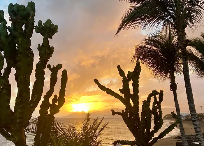 Corallo Artdesign 100 M From The Apartment Puerto del Carmen (Lanzarote)